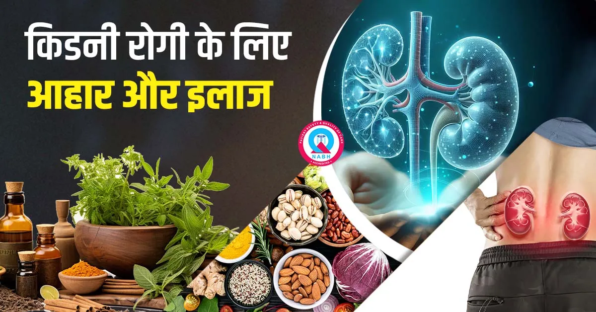 किडनी-रोगी-के-लिए-आहार-और-इलाज